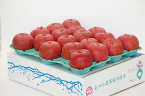 10adumi_sanfuji