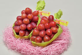13nakano_queenrouge