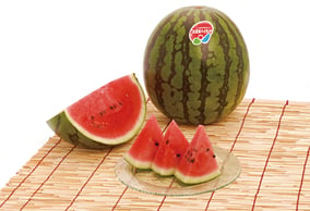 8matsumotohighland_suica